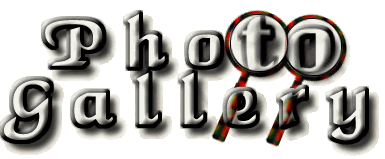 photo favorites